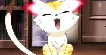 瓜老师火影,揭秘忍者世界的传奇与奥秘